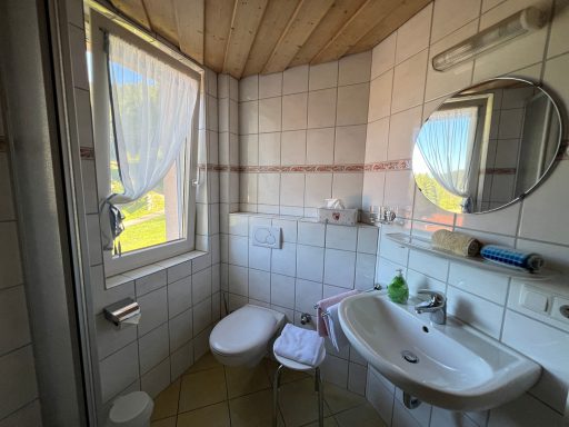 Badezimmer mit Dusche, WC, Waschbecken, Spiegel und Fenster mit Vorhang.